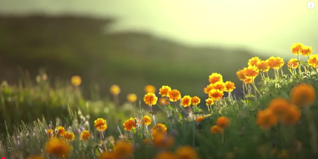 Effective Training Environment