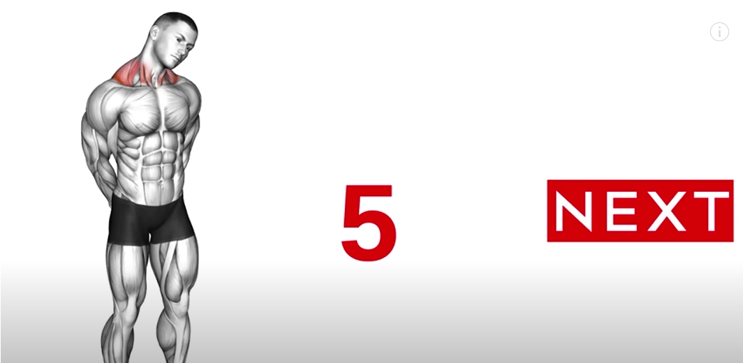 Best Morning Workout (Standing Only)