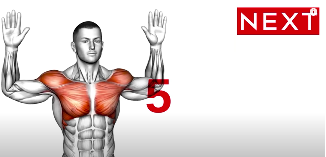 Standing Morning Warm up Stretches