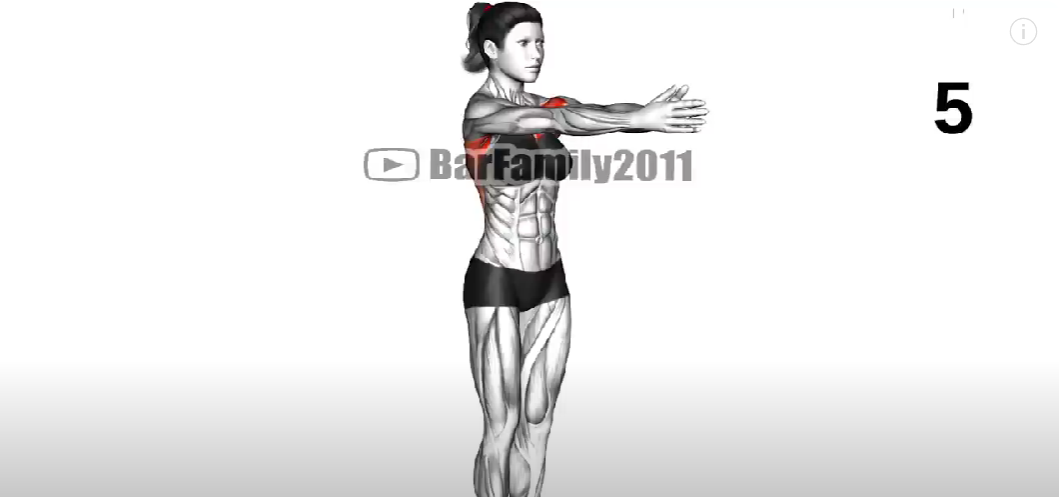 Total Body Flexibility & Warm Up (8 Min Stretching)