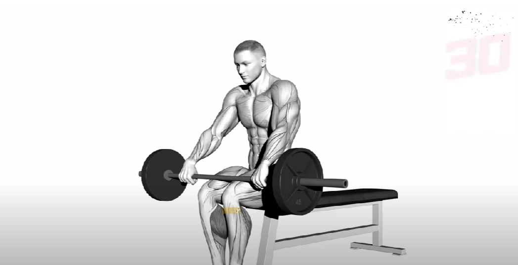 Best Calf Exercises To Force Your Calves To Grow: Soleus, Gastroc & Target Each Head