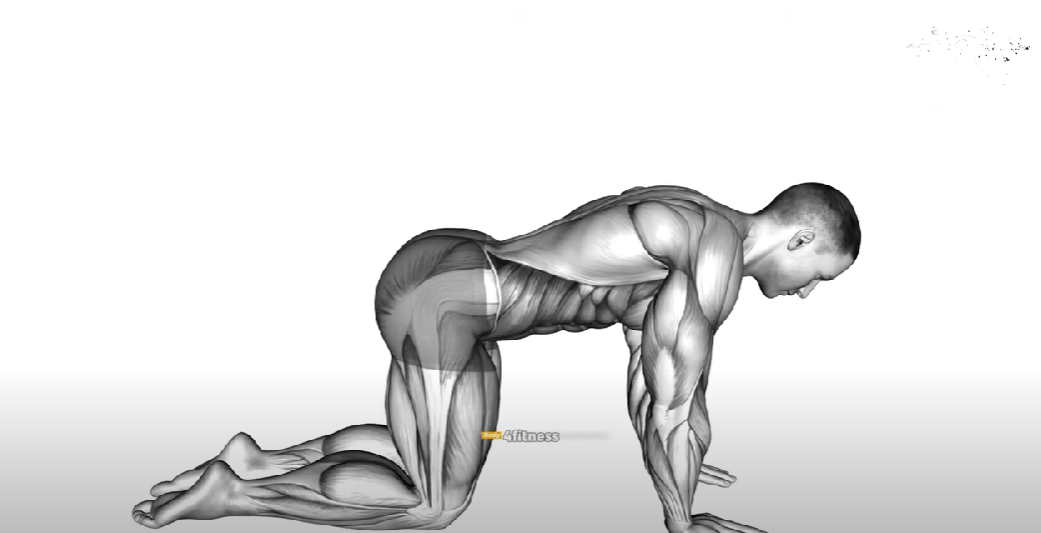 Get Abs in 2 WEEKS Abs Workout Challenge